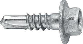 Selbstbohrschraube 5,5x19 mm 