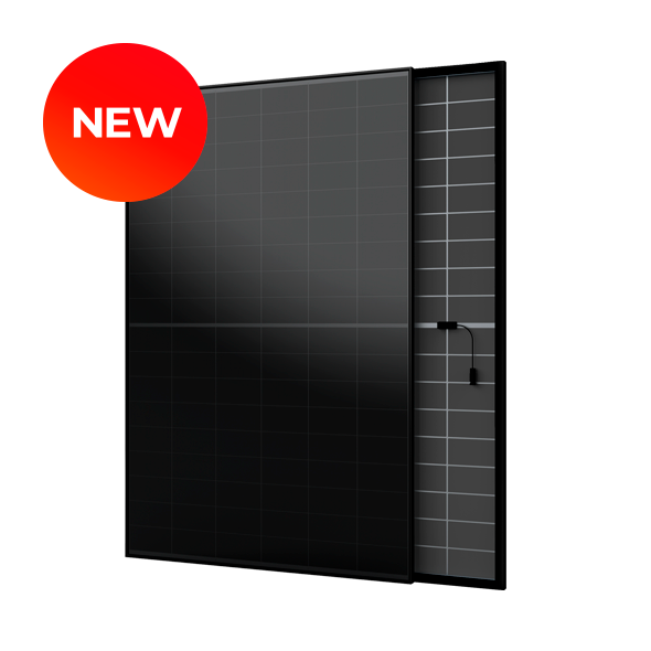 AIKO Solarmodule schwarz Aktion 